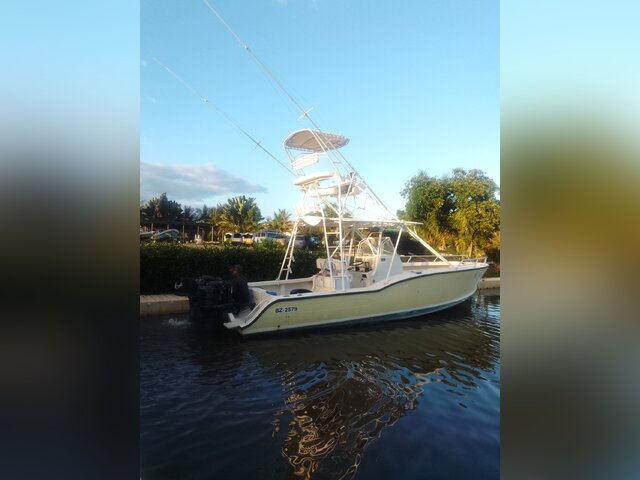 Listing image 1136137