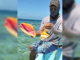 A fisherman holds a conch shell while showcasing its vibrant interior, highlighting a unique marine experience in clear waters.