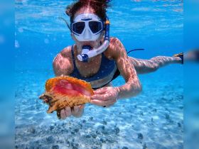 A snorkeler showcases a vibrant conch shell while exploring the underwater world, highlighting the beauty of marine life.