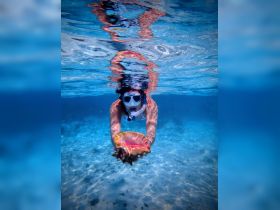 A snorkeler explores the vibrant underwater world, showcasing a beautiful shell in clear blue waters — a perfect moment for ocean enthusiasts.