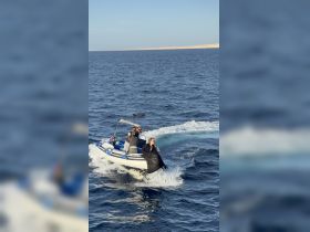 A group enjoys a thrilling boat ride while observing dolphins in the water, capturing the excitement of marine adventures.