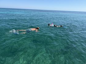 Two snorkelers explore the vibrant underwater world in crystal-clear waters, perfect for aquatic adventures and family fun.