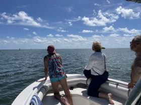 A group of friends enjoys a scenic boat ride, gazing out at the ocean under a bright blue sky — perfect for exploring coastal waters.