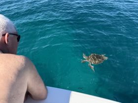 A man observes a sea turtle swimming in crystal-clear waters, showcasing a beautiful moment of wildlife interaction while enjoying a day on the boat.