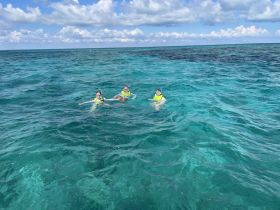 A group of snorkelers enjoys the vibrant underwater scenery in crystal-clear waters, perfect for marine exploration and family adventures.