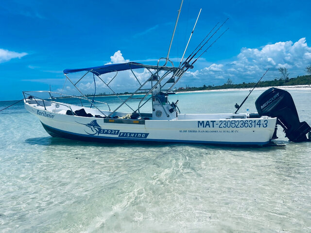 Listing image 1136361