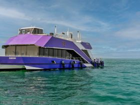 A striking purple boat glides through clear waters, showcasing its modern design and hull structure — perfect for chartering adventures.