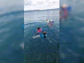 A group of children enjoys a fun day of snorkeling and swimming in clear waters, making for a memorable family adventure.
