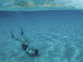 A snorkeler explores the vibrant underwater world, showcasing the beauty of marine life in crystal-clear waters — an unforgettable snorkeling adventure.