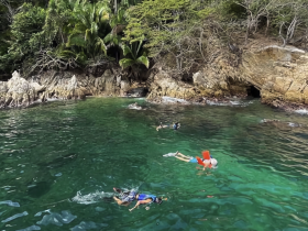 A group enjoys snorkeling in crystal-clear waters along a beautiful coastline, perfect for underwater exploration and family adventures.