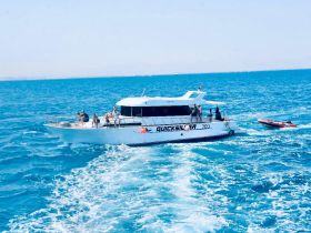 A lively group enjoys their time aboard the Quicksilver boat, cruising through vibrant blue waters — perfect for a day of adventure on the sea.