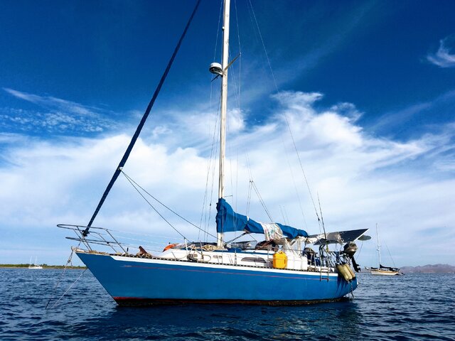 Listing image 1136999