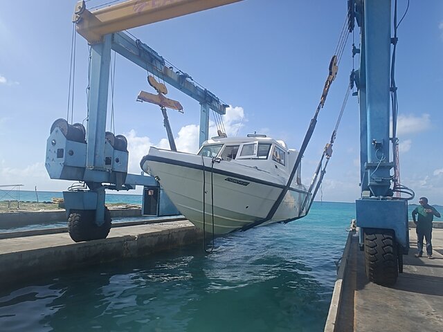 Listing image 1137034