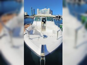 Charter Image