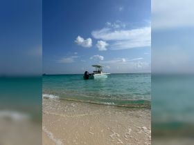 A sleek speedboat anchored in clear turquoise waters, showcasing the perfect setting for a day of adventure on the ocean.