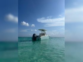 A sleek speedboat glides through crystal-clear waters under a bright blue sky, perfect for a day of adventure on the open sea.