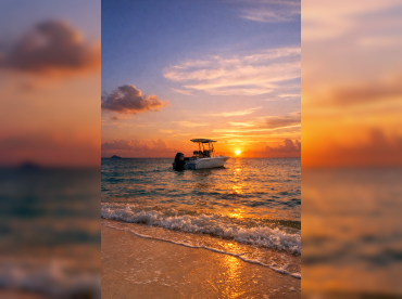 Saltwater Safaris