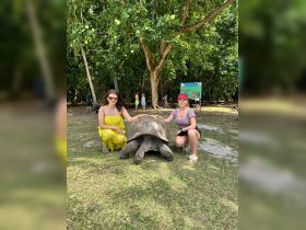 Two women interact with a giant tortoise in a lush outdoor setting, showcasing a memorable wildlife encounter.