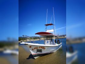 A striking view of the 'Columba' boat docked on a sandy shore, showcasing its sleek design against a clear blue sky — perfect for fishing trips or coastal adventures.