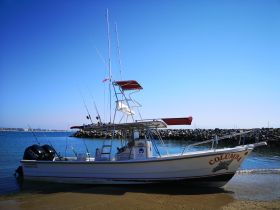 A fishing boat named 'Columba' docked at the shore, showcasing its structure and fishing gear against a clear blue sky.