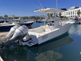 A sleek speedboat docked in a marina, showcasing its powerful twin engines and modern design — perfect for thrilling water adventures.
