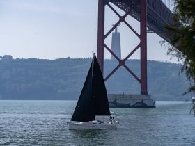 A sailboat glides through the water beneath a striking bridge, showcasing a beautiful landscape and a notable landmark in the background — perfect for sailing enthusiasts and scenic tours.