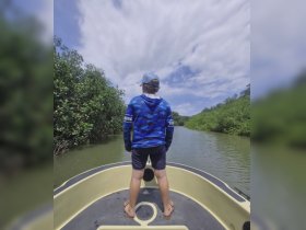 A young boy stands at the bow of a boat, exploring the serene mangrove waterways under a bright sky — a perfect adventure for nature lovers.
