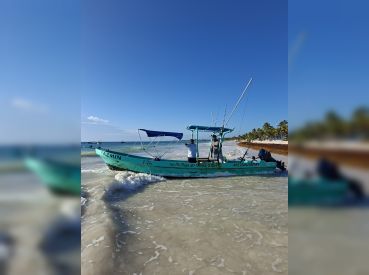 Tito Tours Maya