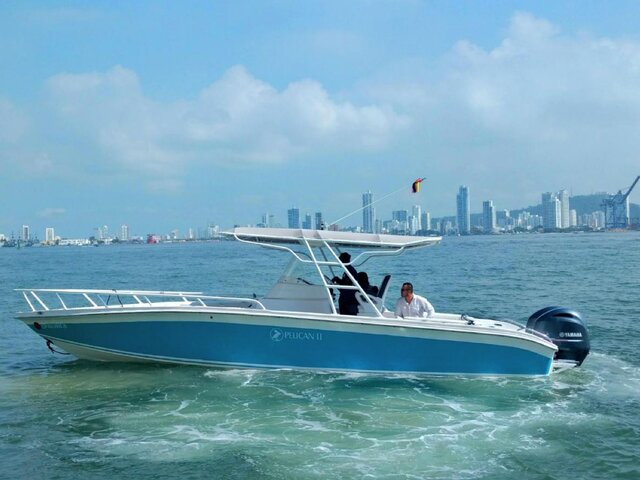 Listing image 1138028