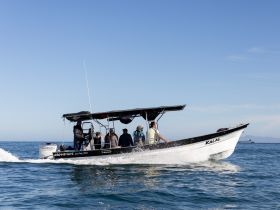 A group of people enjoying a boat ride on the water, showcasing the thrill of on-water activities and adventure.