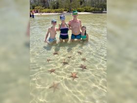 A family enjoys a fun day in the water, surrounded by starfish in a shallow lagoon — a perfect wildlife encounter for kids and adults alike.