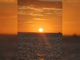 A stunning sunset over the ocean, casting golden hues across the water — a perfect backdrop for evening boat cruises.