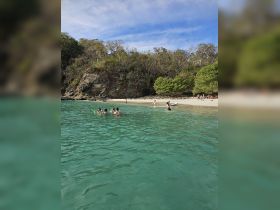 A lively group enjoys a day at the beach, swimming and snorkeling in the clear waters, surrounded by lush greenery — a perfect tropical getaway.