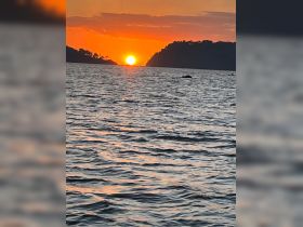 A stunning sunset over the water, casting vibrant colors across the sky and reflecting on the waves — a perfect moment for serene evening boat trips.