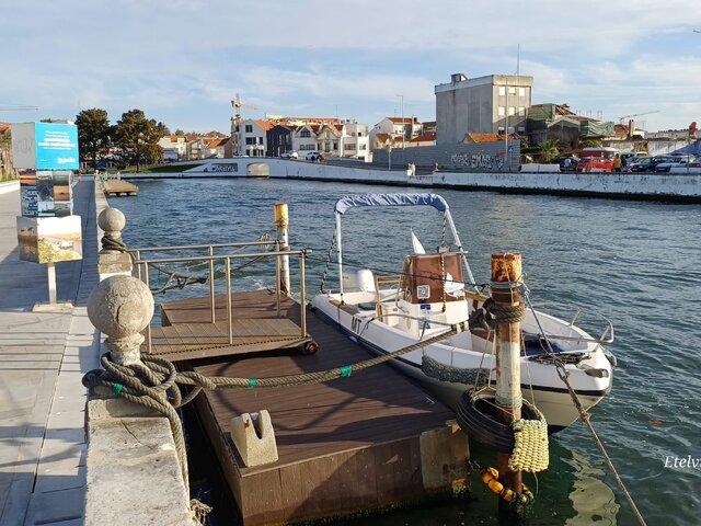 Listing image 1138020