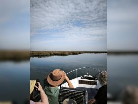 A group of guests enjoys a scenic boat ride, capturing the serene landscape with their cameras. Perfect for nature lovers and photography enthusiasts.