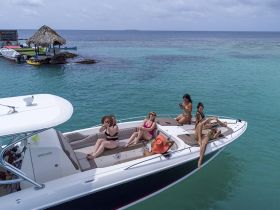 Charter Image