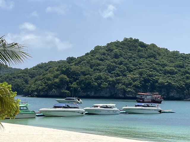 Listing image 1138110
