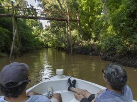 Two guests relax on a boat while navigating a serene river surrounded by lush greenery, showcasing the beauty of nature and the tranquility of a river tour.