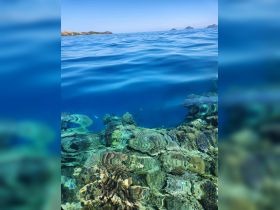A stunning underwater view showcasing vibrant coral formations and marine life, perfect for snorkeling and diving enthusiasts exploring the beauty of the ocean.