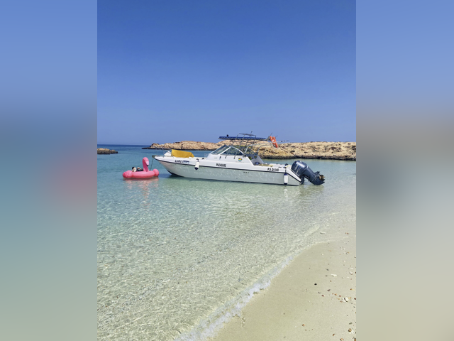 Listing image 1141393