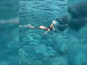 A swimmer enjoys snorkeling in crystal-clear waters, showcasing the vibrant marine life and stunning underwater scenery.