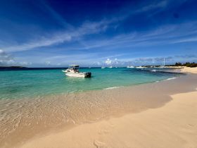 A speedboat is anchored in the clear turquoise waters, showcasing a serene beach scene perfect for a day of relaxation and adventure.