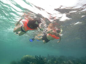 Two snorkelers explore vibrant underwater life, showcasing the excitement of snorkeling adventures in crystal-clear waters.