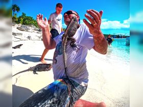 A man interacts with iguanas on a sandy beach, showcasing a unique wildlife experience in a tropical setting.