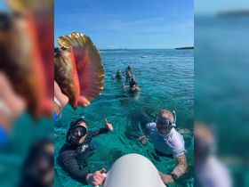 A lively group enjoys snorkeling in crystal-clear waters, showcasing their catch while celebrating an unforgettable underwater adventure.