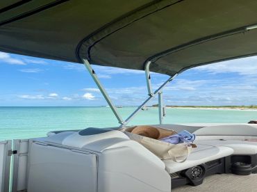 ClearWake Watersports – Tahoe Pontoon