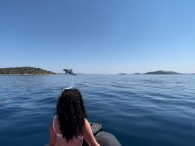 Charter Image