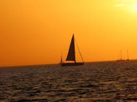 Silhouetted sailboats gracefully navigate the shimmering waters at sunset, creating a picturesque scene perfect for sailing enthusiasts and sunset lovers.