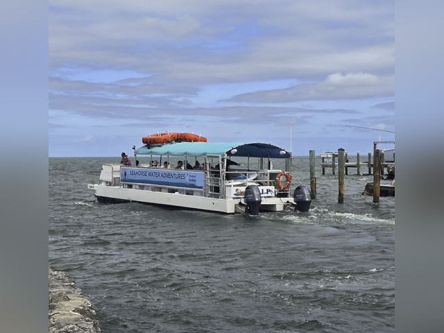 Listing image 1142678